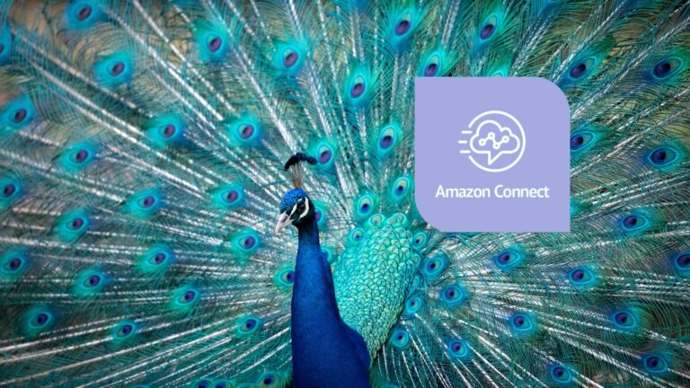 onafhankelijke partner amazon connect